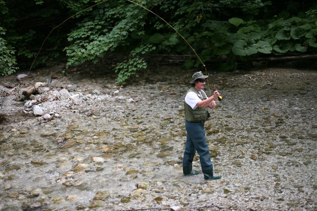 Hotel Plesnik Logarska Dolina Solčava Eksteriør billede